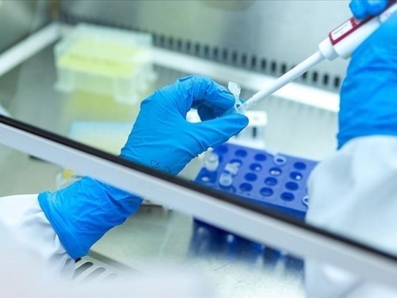 WHO: 90% orang yang terinfeksi hepatitis tidak menyadari status infeksi mereka