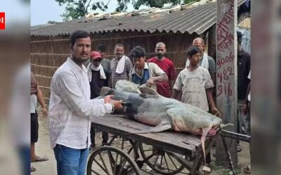 Ikan Misterius Muncul Usai Banjir Nepal, Warga Bihar Dilarang Makan