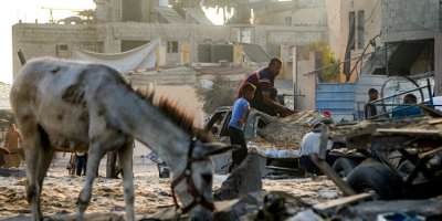 Keledai Gaza Dievakuasi ke Prancis Sementara Warga Sipil Dibiarkan Kelaparan