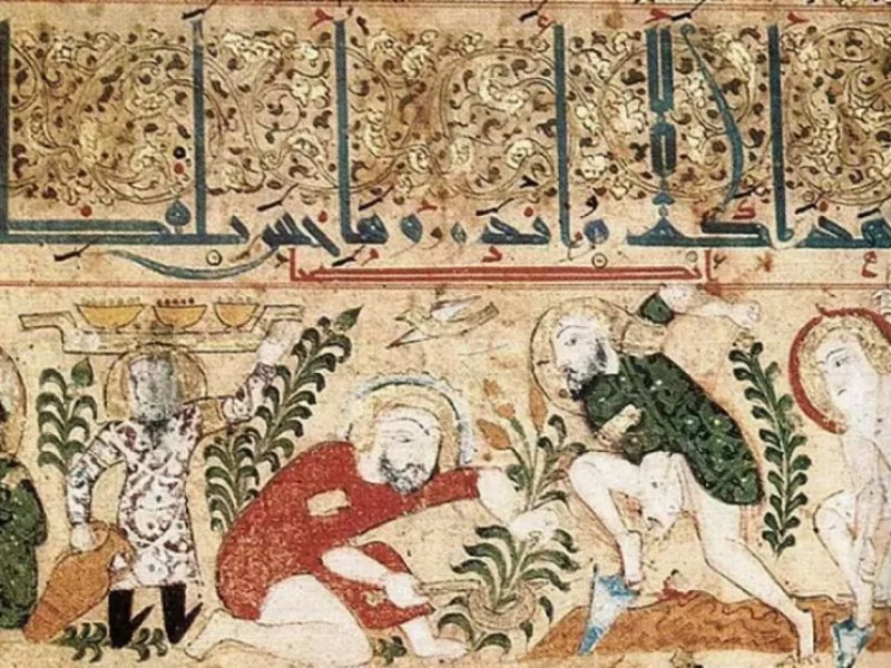 Ibnu Wafid, Pembangun Kebun Raya Tertua Di Eropa