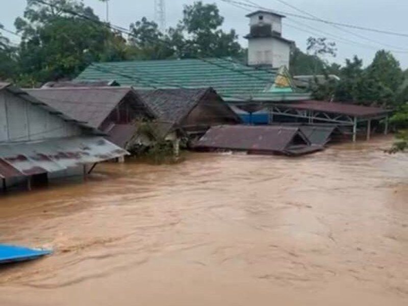 Banjir Mendadak Rendam Balangan hingga Setinggi Plafon Rumah, BPBD Lakukan Evakuasi Besar-Besaran