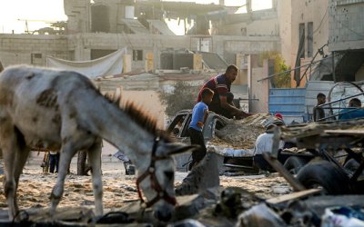 Keledai Gaza Dievakuasi ke Prancis Sementara Warga Sipil Dibiarkan Kelaparan