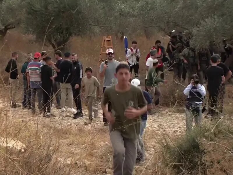 Petani Palestina Diserang dan Diusir Pemukim 'Israel' saat Panen Zaitun di Tepi Barat