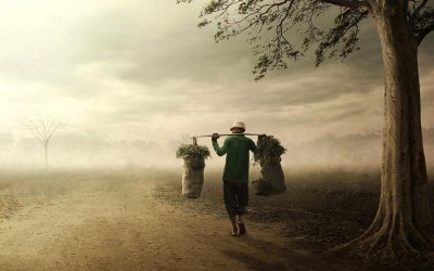 Risalah Ibnul Qayyim, keberkahan pada diri seseorang