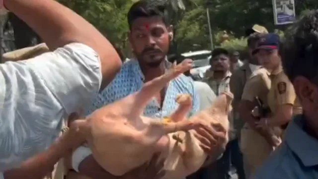 Protes Idul Adha, Hindu Radikal India Bawa Babi ke Kompleks Muslim