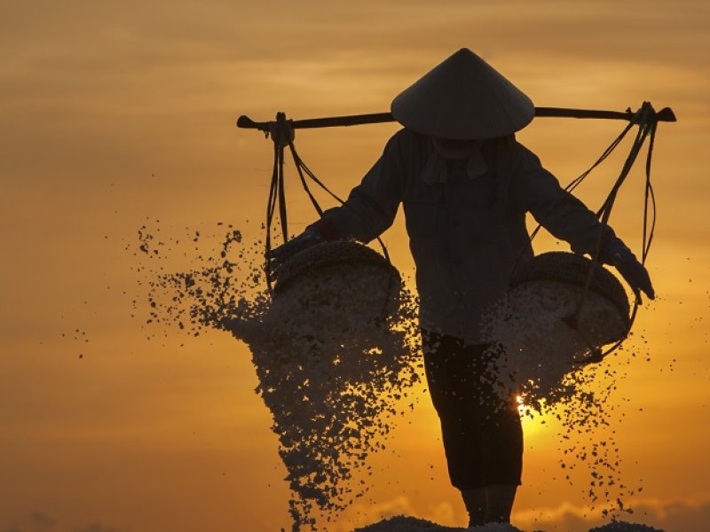 Seri Tazkiyatun Nafs, Ikhtiar dan Tawakkal