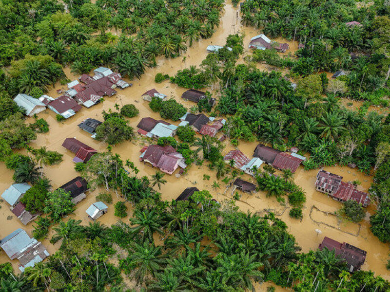 Update Korban Bencana Banjir di Aceh: 47 Orang Meninggal, 51 Masih Hilang