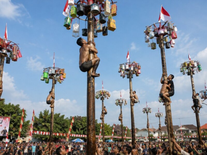 Bupati Aceh Barat Larang Lomba Panjat Pinang