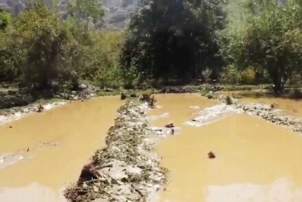 Lebih dari 700 Keluarga Terdampak Banjir yang Melanda Tiga Provinsi di Afghanistan