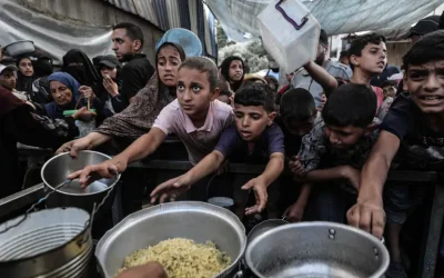 1,4 Juta Warga Gaza Hadapi Kerawanan Pangan Akut, Bantuan PBB Justru Dipangkas