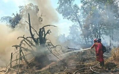 Karhutla Kalteng Kian Parah, ISPU Disebut Tembus 4.000, Warga Desak Evakuasi Kelompok Rentan