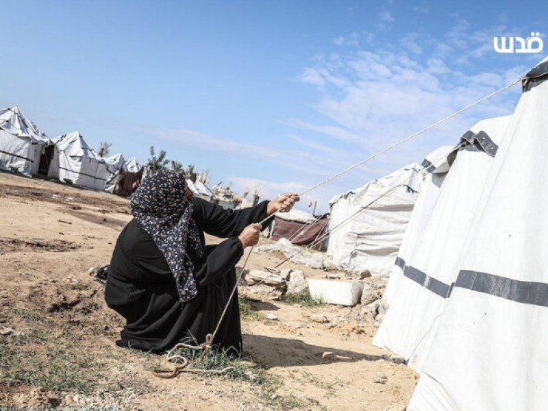 Seorang Perempuan Palestina Tewas Akibat Bangunan Roboh di Gaza saat Badai Hebat Melanda