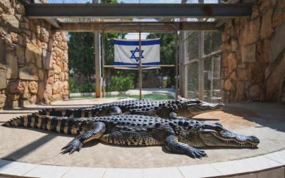 'Israel' Buka Jalan Penggunaan Buaya untuk Jaga Penjara, Picu Kontroversi