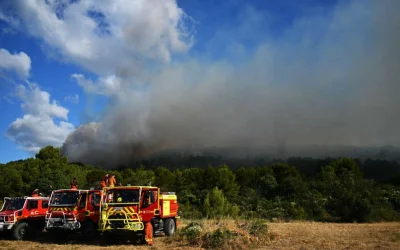 Gelombang Panas Melanda Eropa, Petugas Damkar Prancis Berjuang Kendalikan Kebakaran Hutan