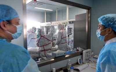 Kematian Akibat Flu Burung H3N8 Pertama Tercatat di Cina