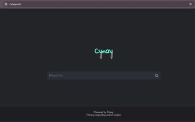 Cynay.com, benarkah merupakan alternatif Google?