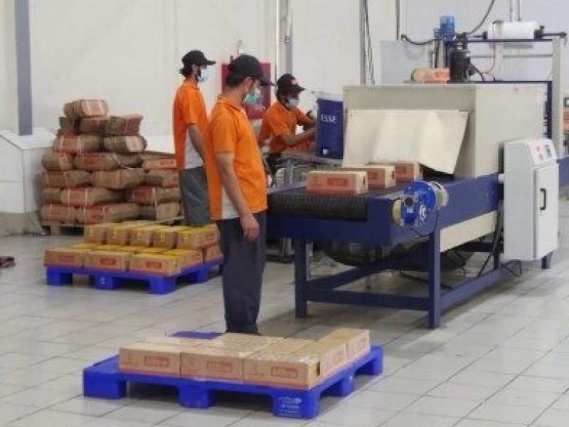 Sebuah Pabrik di Kandahar akan Mulai Mengekspor Susu Bubuk di 2026