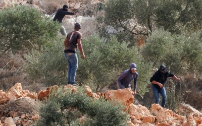 Pemukim Ilegal "Israel" Menyerang Delegasi Diplomatik Eropa di Tepi Barat