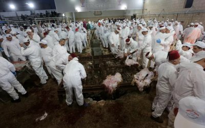 Provokasi Berbahaya: “Israel” Ingin Sembelih Kurban di Al-Aqsha!