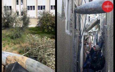 Pembunuh Senyap di Gaza: Ancaman Rudal yang Tidak Meledak