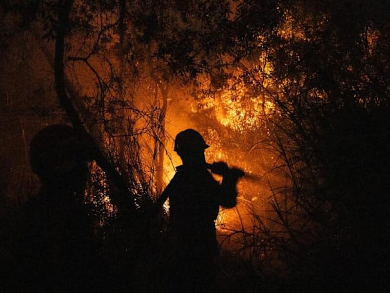 UAS Doakan Pelaku Karhutla Diazab, Soroti Pembakar Hutan hingga Koruptor Dana Bantuan