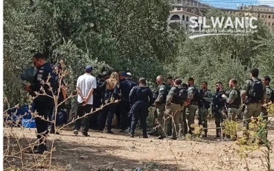 Tiga Warga Palestina Terluka Diserang Pemukim 'Israel' Saat Panen Zaitun di Nablus