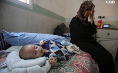 Lebih dari 40.000 Bayi di Gaza Terancam Kematian Akibat Larangan Susu Formula oleh ‘Israel’