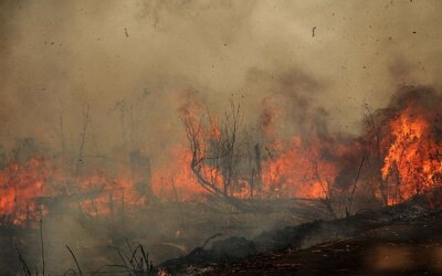 Karhutla Indonesia Kepung Malaysia, Empat Wilayah Sarawak Masuk Zona Bahaya