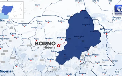 ISWAP Eksekusi Mata-Mata Militer Nigeria di Borno