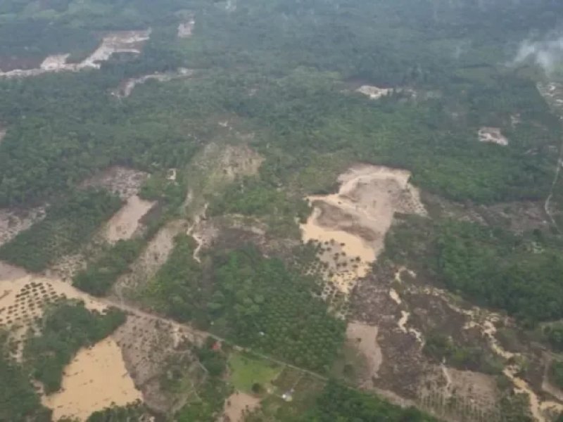 Banjir Aceh Tamiang Ungkap Kerusakan Hulu: 35 Ribu Hektare Sawit Diduga Rampas Kawasan Lindung