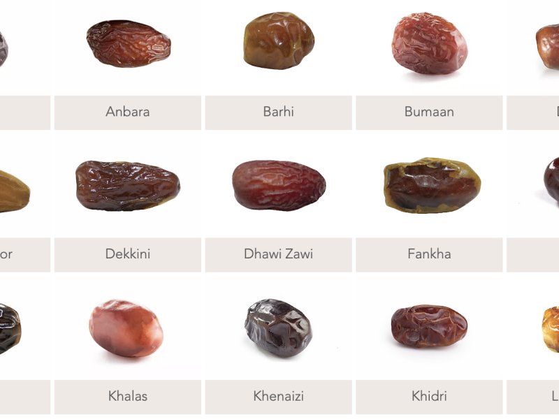 Kurma, Permata Gurun Pasir yang Dicintai Warga Saudi Ketika Ramadhan