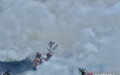 Karhutla Sebabkan Asap Tebal di Bangka Barat, Dinas Kesehatan Pastikan Kasus ISPA Juli–Agustus 2026 Masih Stagnan