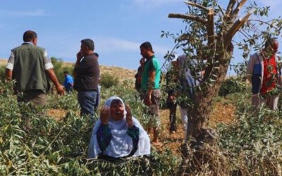 Warga Palestina dan Aktivis Diburu dalam Serangan Brutal Pemukim di Tepi Barat