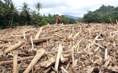 Tumpukan Kayu Hanyut Usai Banjir Bandang Diduga Hasil Pembalakan Liar, Ahli Hukum Desak Penindakan Tegas
