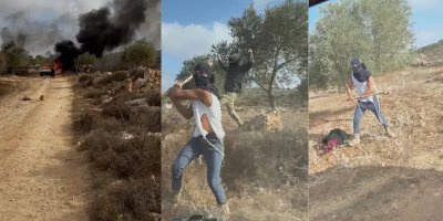 Sedang Memanen Zaitun, Wanita Palestina Dipukuli Pemukim ‘Israel’ Hingga Pingsan