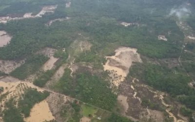 Banjir Aceh Tamiang Ungkap Kerusakan Hulu: 35 Ribu Hektare Sawit Diduga Rampas Kawasan Lindung