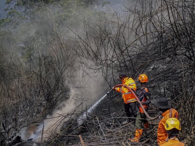 Korban Tewas Kebakaran Gunung Bromo Bertambah Jadi Empat Orang, Dua Relawan Luka Bakar Serius