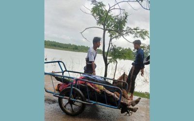 LSM: Tentara Arakan Bantai 200 Pengungsi Rohingya