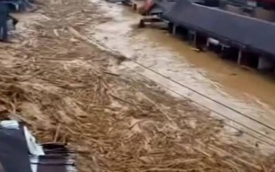 Ribuan Gelondongan Kayu Hanyut di Tapanuli: Banjir Bandang Buka Tabir Kerusakan Hutan di Hulu