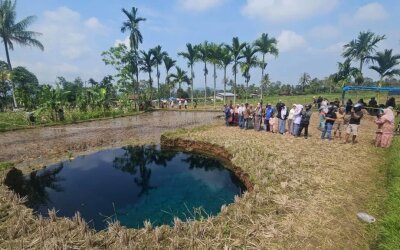Sinkhole Muncul di Sawah Situjuah Batua, Warga Percaya Airnya Bisa Sembuhkan Penyakit, Ini Kata MUI