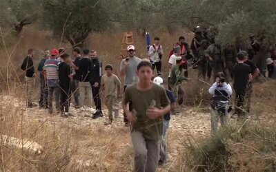 Petani Palestina Diserang dan Diusir Pemukim 'Israel' saat Panen Zaitun di Tepi Barat
