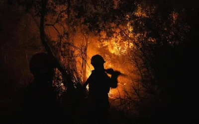 UAS Doakan Pelaku Karhutla Diazab, Soroti Pembakar Hutan hingga Koruptor Dana Bantuan