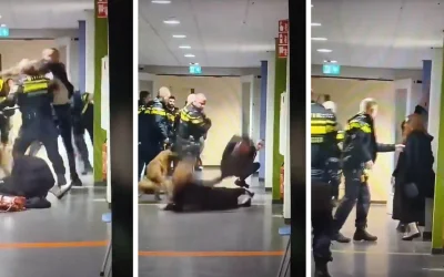Polisi Belanda Disorot Setelah Jatuhkan Ibu Hamil Palestina Saat Penangkapan