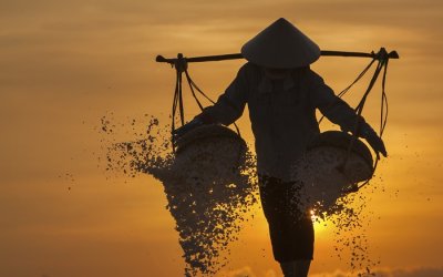 Seri Tazkiyatun Nafs, Ikhtiar dan Tawakkal